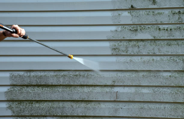 Best Solar Panel Cleaning  in Sudan, TX